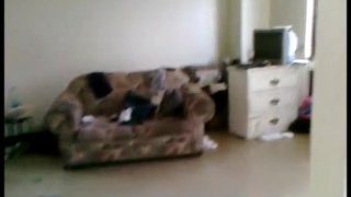 Dl caught on camera fucking